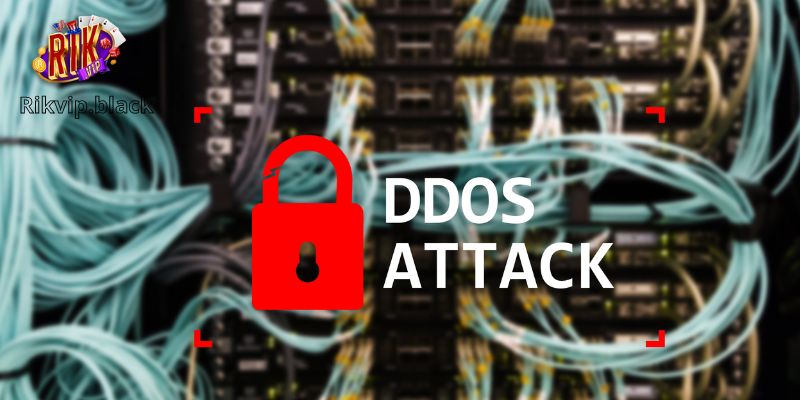 Rikvip – Trải Nghiệm Game Bài Đổi Thưởng Không Lo Ddos