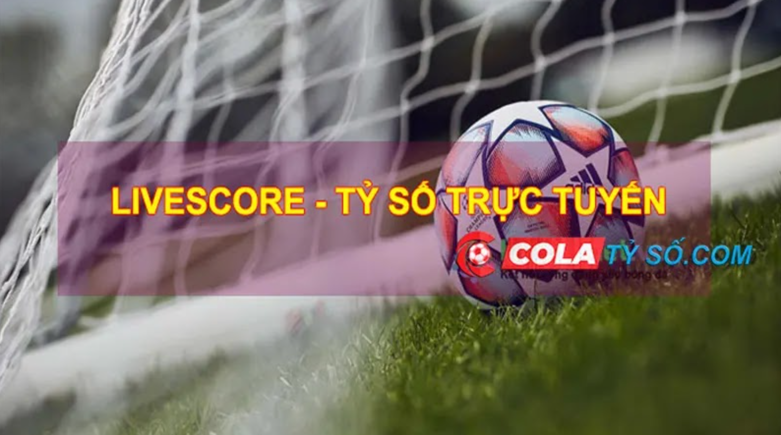 Theo dõi tỷ số bóng đá mọi lúc, mọi nơi với 7m Livescore